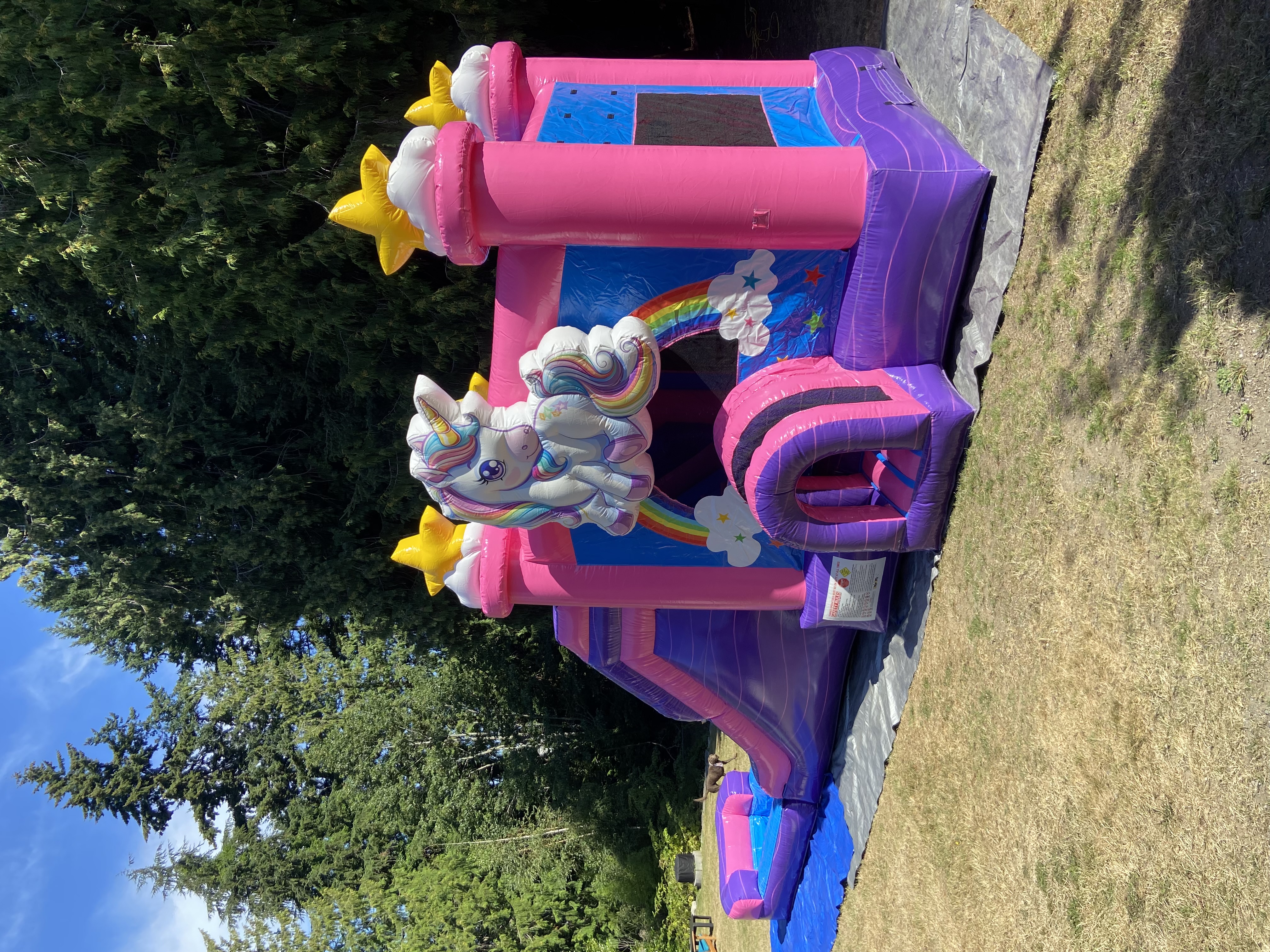 Bounce House 12