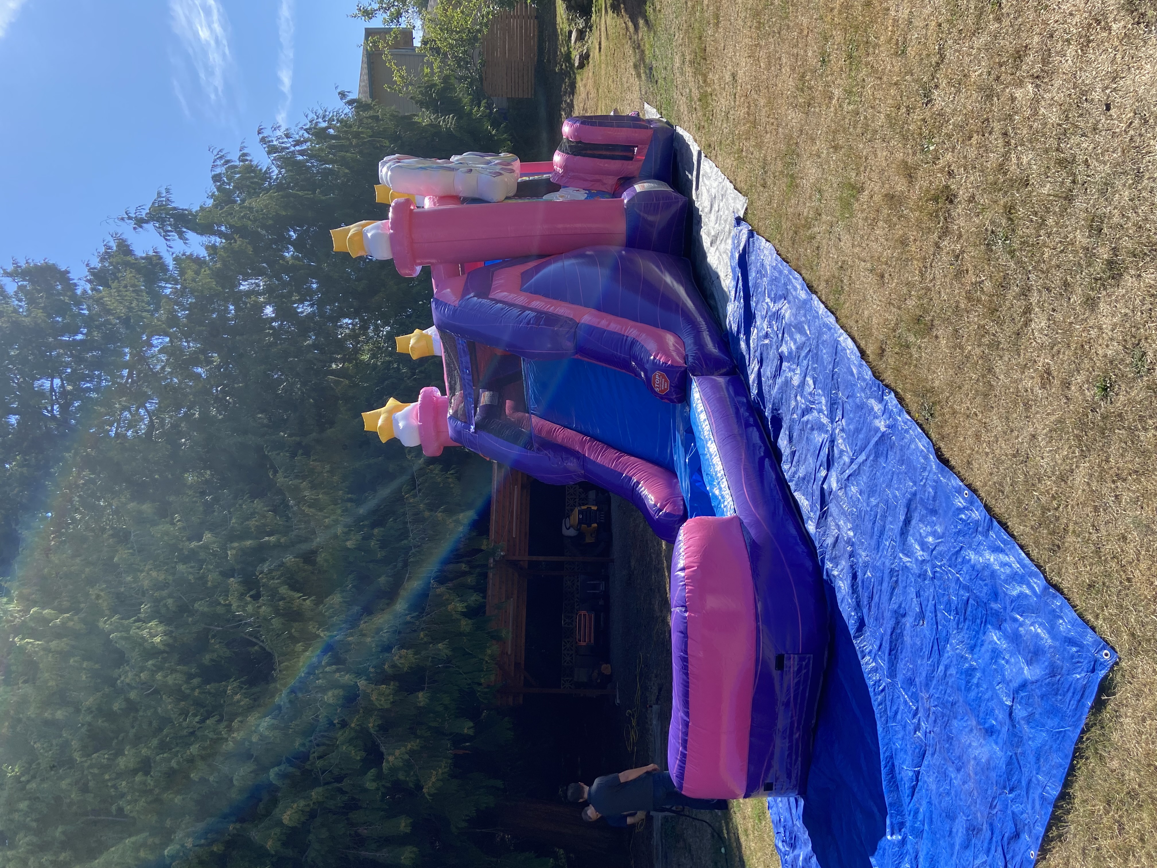 Bounce House 12 Picture 2