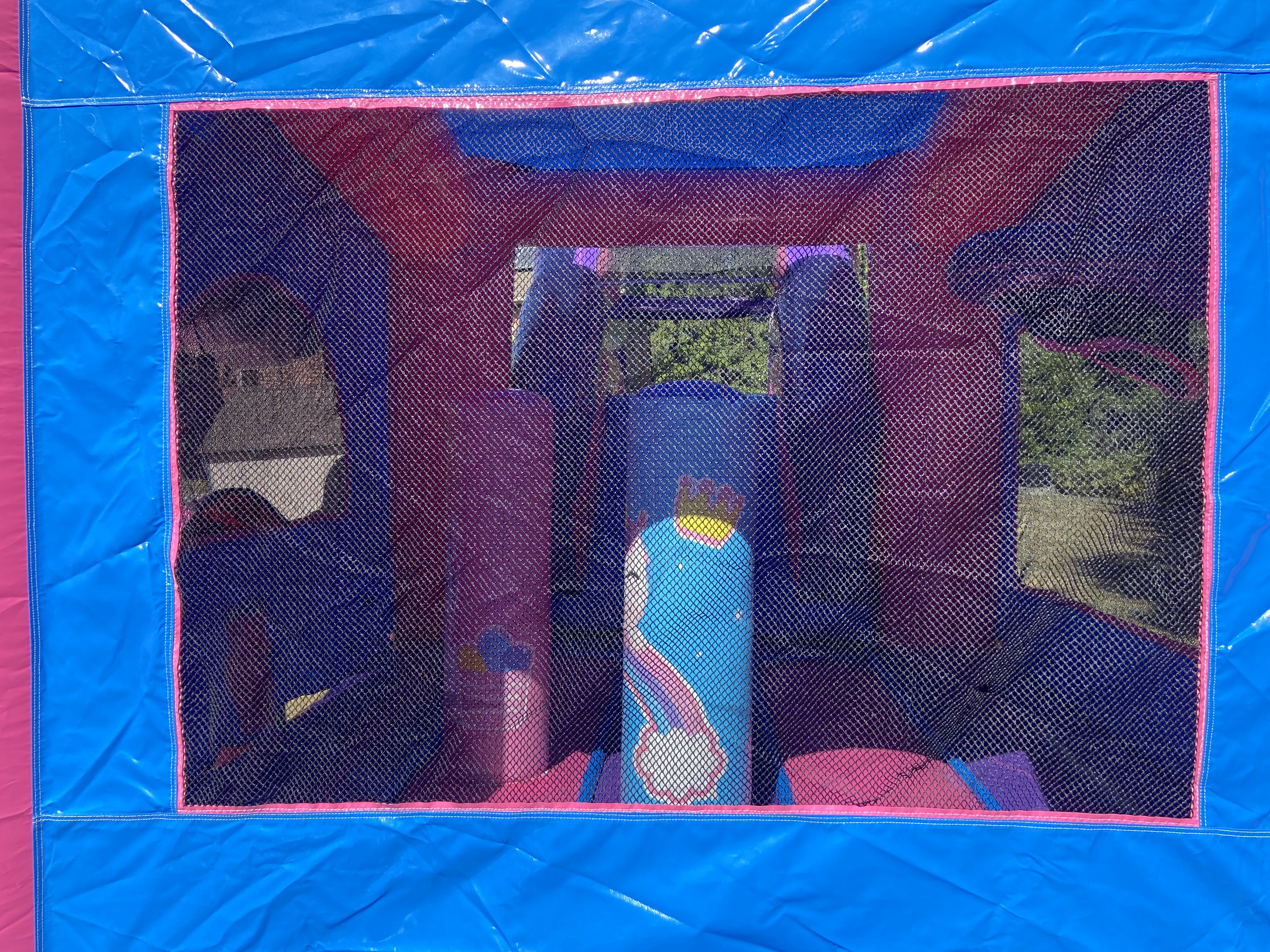 Bounce House 12 Picture 4